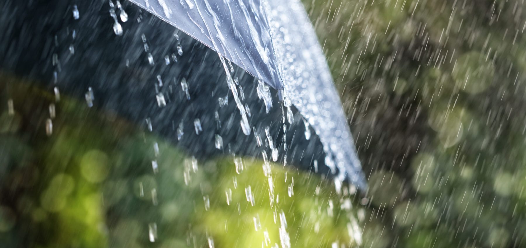 Rain,Drops,Falling,From,A,Black,Umbrella,Concept,For,Bad
